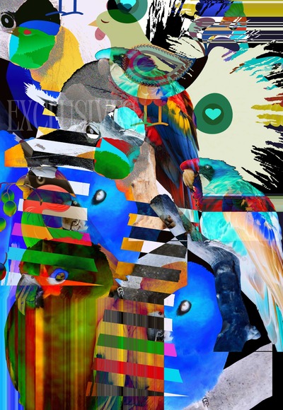 Abstract Art Examples-Birds And Color Abstract Art Examples-Birds And Color