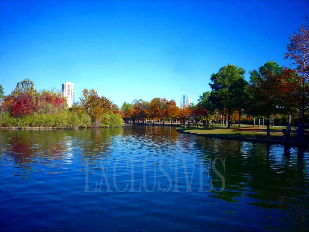 Image of park in Houston Texas Image of park in Houston Texas