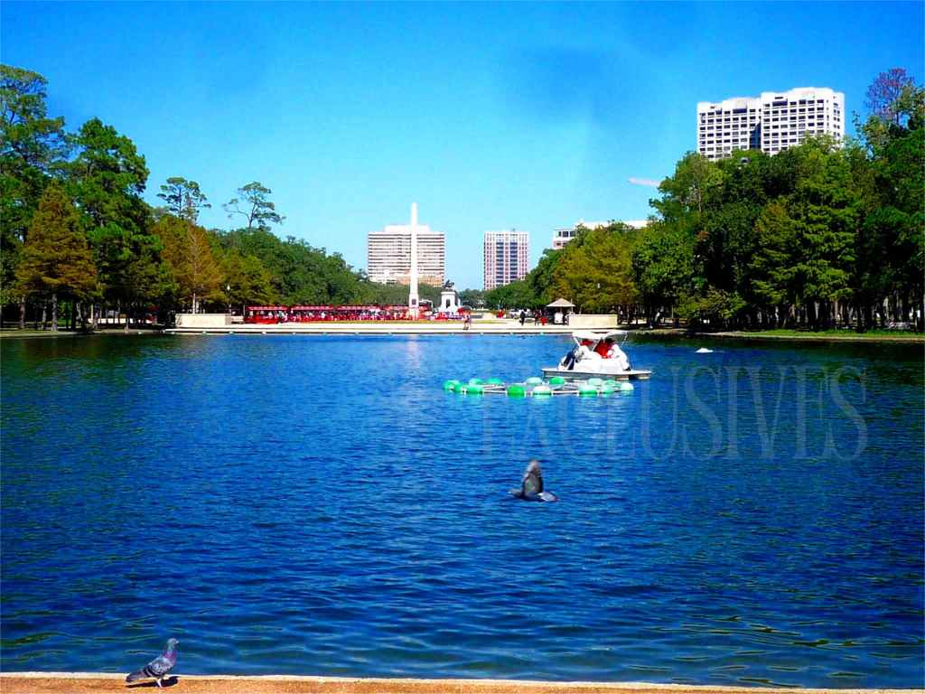 Water park in Houston Texas Water park in Houston Texas